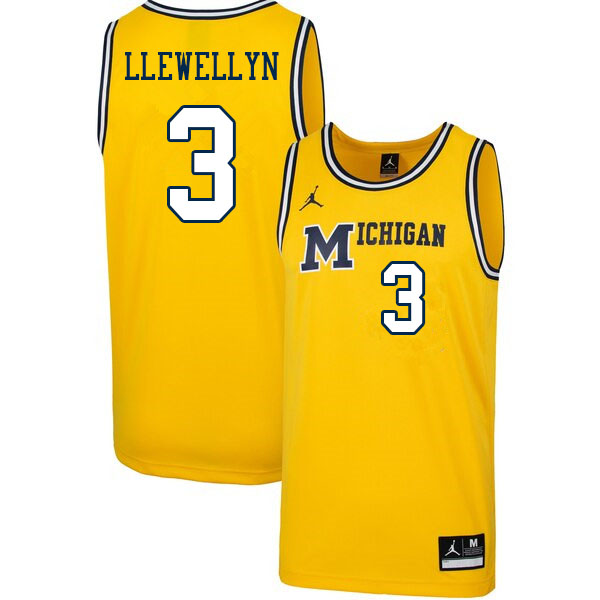 Men #3 Jaelin Llewellyn Michigan Wolverines College Basketball Jerseys Sale-Throwback